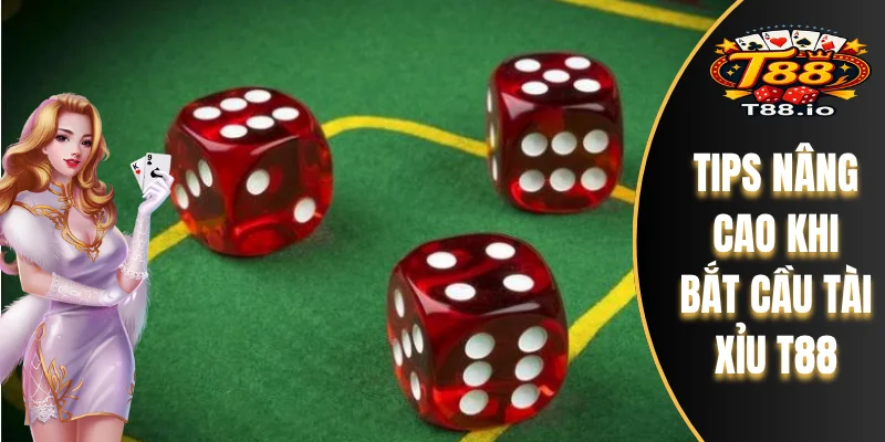 Tips nâng cao khi bắt cầu tài xỉu T88