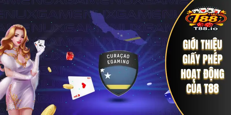 Giới thiệu giấy phép hoạt động của T88